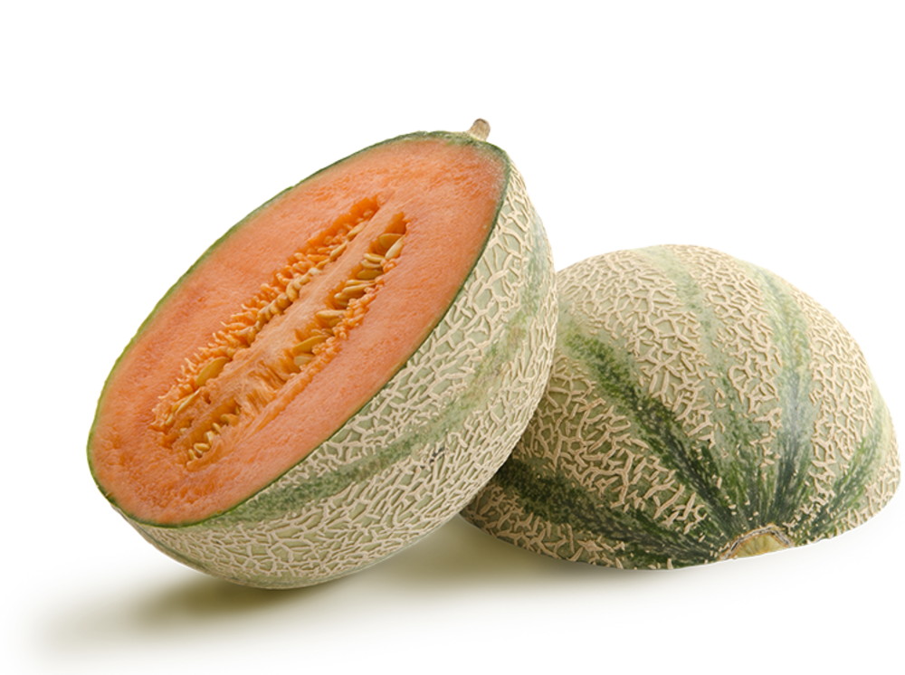 Tipps Melonenrezept